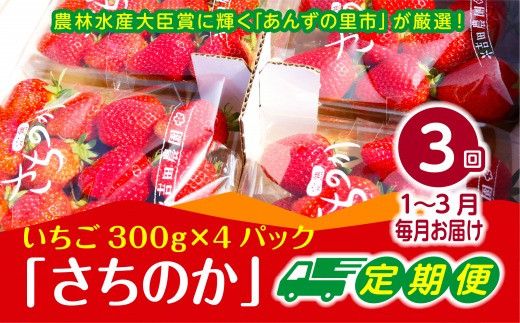 【2026年1月～3月発送】【3ヶ月定期便】「さちのか」いちご300g×4Pを3回お届け[G7007]