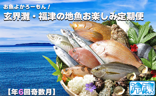 【年6回奇数月】お魚よかろうもん！玄界灘・福津の地魚お楽しみ定期便【冷凍】【随時開始】[G7015]