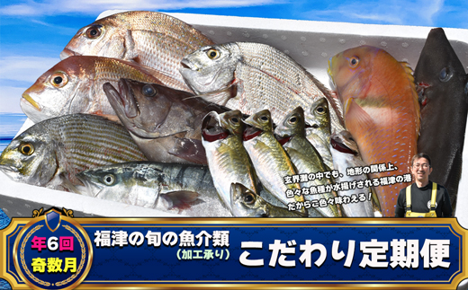【年6回奇数月】福津の旬の魚介類こだわり定期便【加工承り】【随時開始】[G7018]
