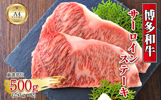 博多和牛サーロインステーキセット　500ｇ（250ｇ×2枚）[G0128]