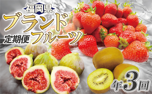 【年3回春夏秋】福岡ブランドフルーツ定期便（3～4・8～9・11月）【随時開始】[F5410]
