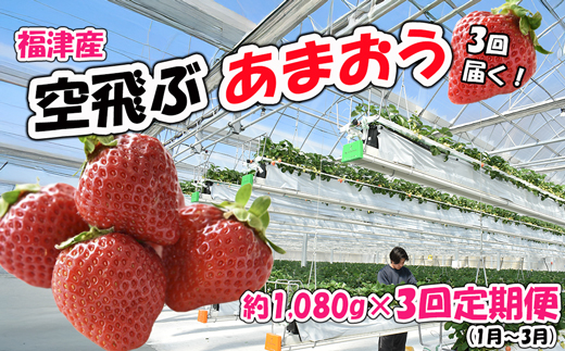 【3回届く！（1月～3月）】福津産『空飛ぶあまおう』約1,080g×3回定期便【スカイフローラファーム】[G7053]