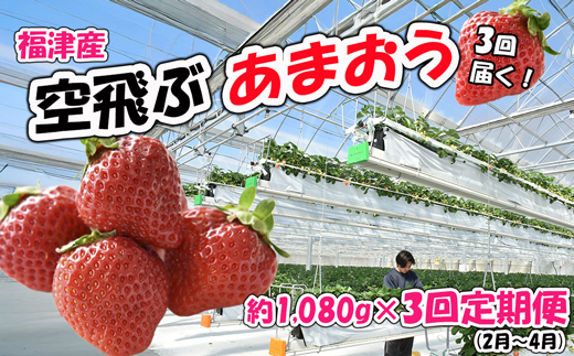 【3回届く！（2月～4月）】福津産『空飛ぶあまおう』約1,080g×3回定期便【スカイフローラファーム】[G7054]