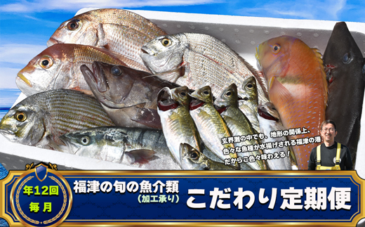 【年12回毎月】福津の旬の魚介類こだわり定期便【加工承り】【随時開始】[G7016]