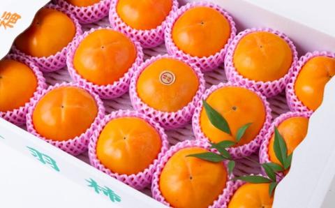 【先行予約】道の駅うきは 富有柿 14玉から15玉 2025年11月中旬から11月下旬 出荷予定