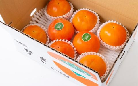 【先行予約】原茂之巨峰園 特撰 富有柿 大玉(3L) 8玉から9玉 2025年11月中旬から11月下旬 出荷予定