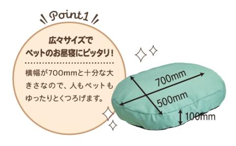 【14日営業日以内発送】九州イノアック あにまるシリーズ nenemo (グリーン) ベッドクッション クッション ベッド ペット ペット用 広々サイズ ウレタン ペットグッズ ふんわり 九州 福岡県 うきは市