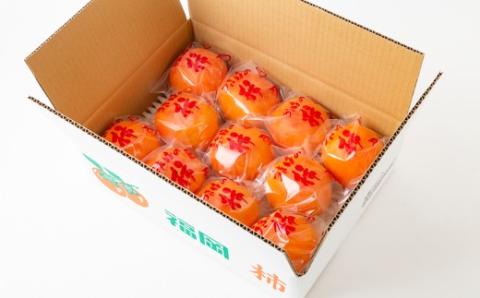 【先行予約】矢野ファーム 冷蔵富有柿 (2Lサイズ) 11玉から12玉 (約3kg) 2025年12月中旬から2026年1月10日 出荷予定