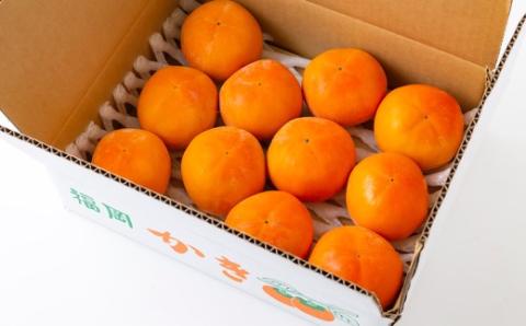 逸品富有柿 11玉から12玉 (約3kg) 【2025年11月下旬-2025年12月上旬発送予定】 柿 果物 フルーツ うきは市