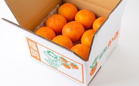 逸品富有柿 16玉から18玉 2Lサイズ (約5kg) 【2025年11月下旬-2025年12月上旬発送予定】 柿 果物 フルーツ うきは市