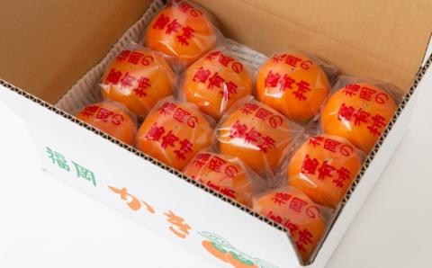 石井農園 冷蔵富有柿 9玉から12玉 2025年12月中旬から2026年3月31日 出荷予定