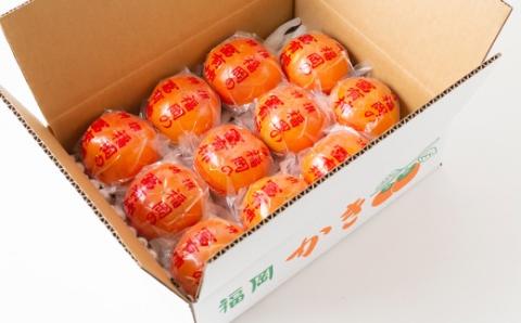 【先行予約】やまんどん 冷蔵富有柿 2Lサイズ 10玉前後 2025年12月中旬から12月下旬 出荷予定