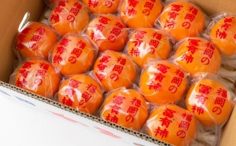 石井農園 冷蔵富有柿 15玉から20玉 2025年12月中旬から2026年3月31日 出荷予定