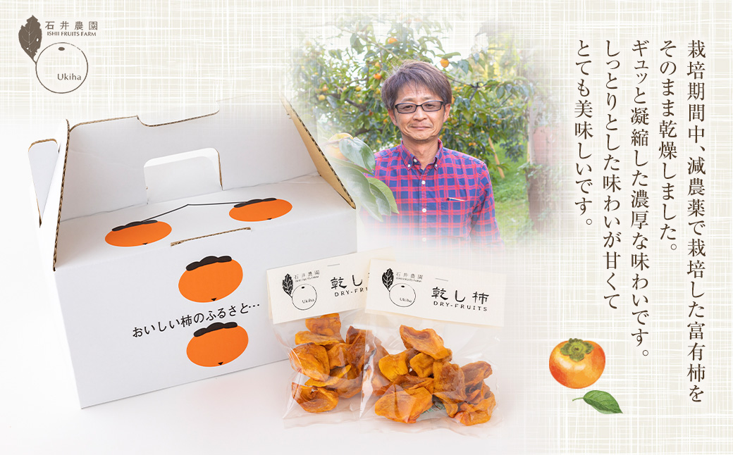 石井農園 乾し柿 70g入り×10個セット ドライフルーツ 柿 かき カキ 乾燥柿 富有柿 スイーツ お菓子 果物 フルーツ 福岡県 うきは市