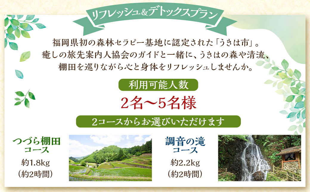 【参加型体験】リフレッシュ&デトックス 心癒されるうきはの森林セラピー ／ 癒やし リフレッシュ 森 うきは市