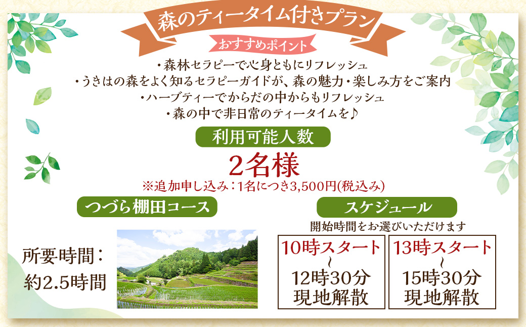 【参加型体験】うきは市森林セラピー （森のティータイム付き） 2名様 ／ 癒やし 森 リフレッシュ ハーブティー ティータイム うきは市