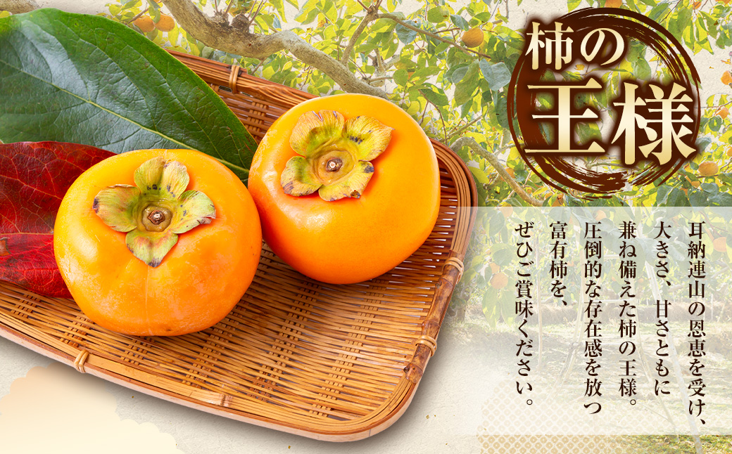 【先行予約】柿屋うちやま 富有柿 15玉前後 2025年11月中旬から12月上旬 出荷予定