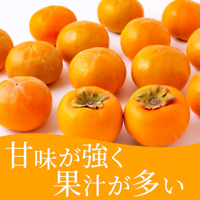 【先行予約】有機配合肥料使用 富有柿 10玉から12玉 2025年11月上旬から11月下旬 出荷予定【春光園】 柿 かき 甘柿 甘い 果物 フルーツ
