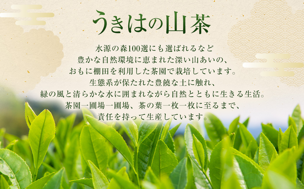 新川製茶 うきはの山茶 オーガニックティー (箱入り) 有機JAS認定 (極上煎茶・紅茶ティーバック・特上煎茶・抹茶入玄米茶) 計406g お茶 茶 茶葉 煎茶 緑茶 紅茶 ティーバック 抹茶入 玄米茶 セット 福岡県 うきは市