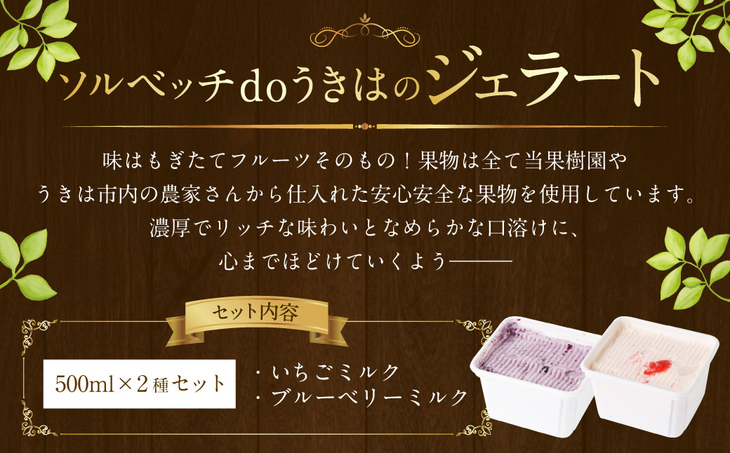ソルベッチdoうきは ジェラート500ml×2個セット フルーツ ミルク スイーツ デザート ジェラート シャーベット アイス いちごミルク ブルーベリーミルク セット 冷凍 福岡県 うきは市