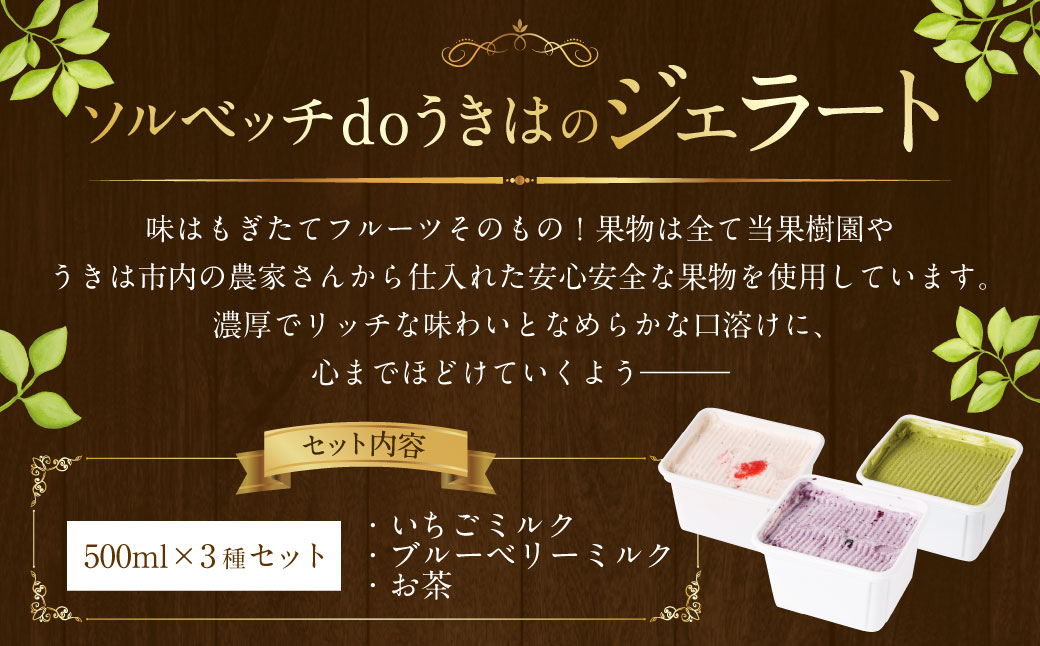 ソルベッチdoうきは ジェラート500ml×3個セット フルーツ ミルク スイーツ デザート ジェラート シャーベット アイス いちごミルク ブルーベリーミルク オリーブ塩ミルク お茶 セット 冷凍 福岡県 うきは市