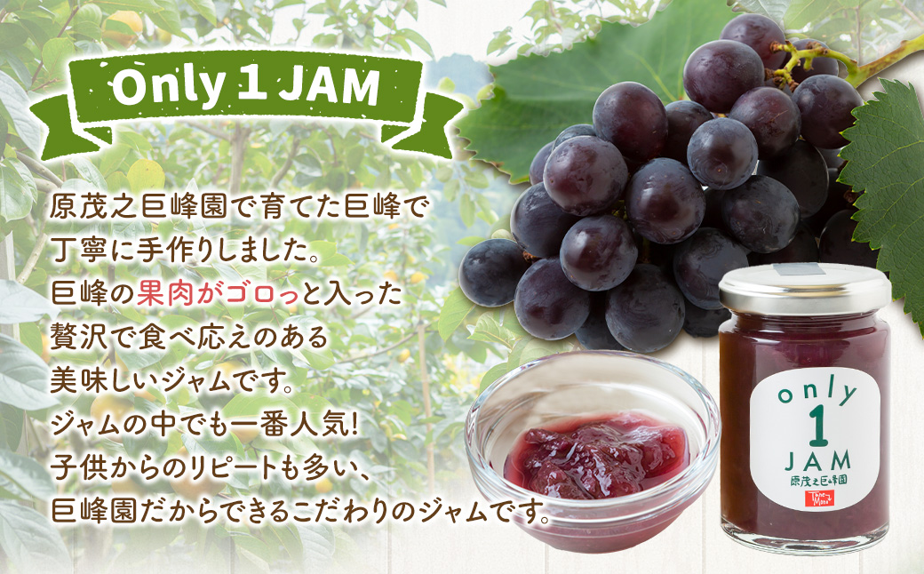 原茂之巨峰園 Only1JAM (まるごと巨峰) 150g×3本