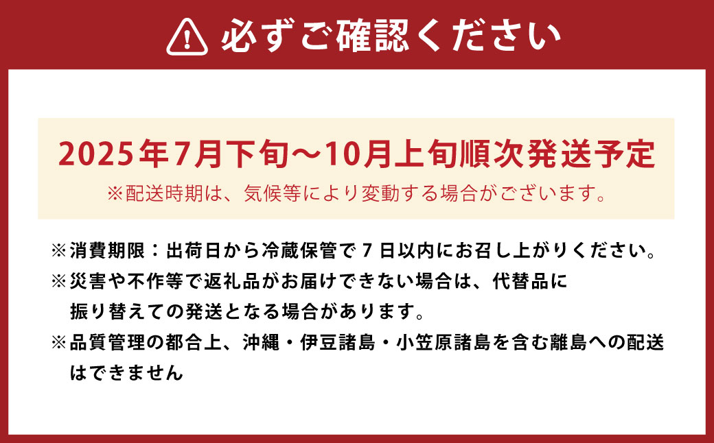 【先行予約】渡辺農園 いちじく (とよみつひめ) 4パック 【2025年7月下旬～2025年10月上旬 出荷予定】 フルーツ 果物 果実 常温 送料無料 福岡県 うきは市
