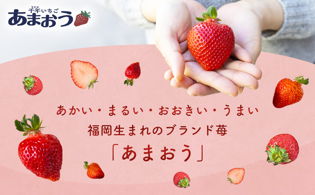 千年いちご あまおうイチゴ (300g×4パック) 12月お届け あまおう いちご イチゴ 苺 フルーツ 果物 冷蔵 送料無料 福岡県 うきは市 【2025年12月下旬より順次発送予定】