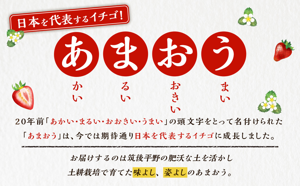 Green's 「いちごの王様」目指す福岡県産あまおう 250g×4パック 2月分 あまおう いちご イチゴ 苺 フルーツ 果物 冷蔵 送料無料 福岡県 うきは市 【2026年2月より順次発送予定】