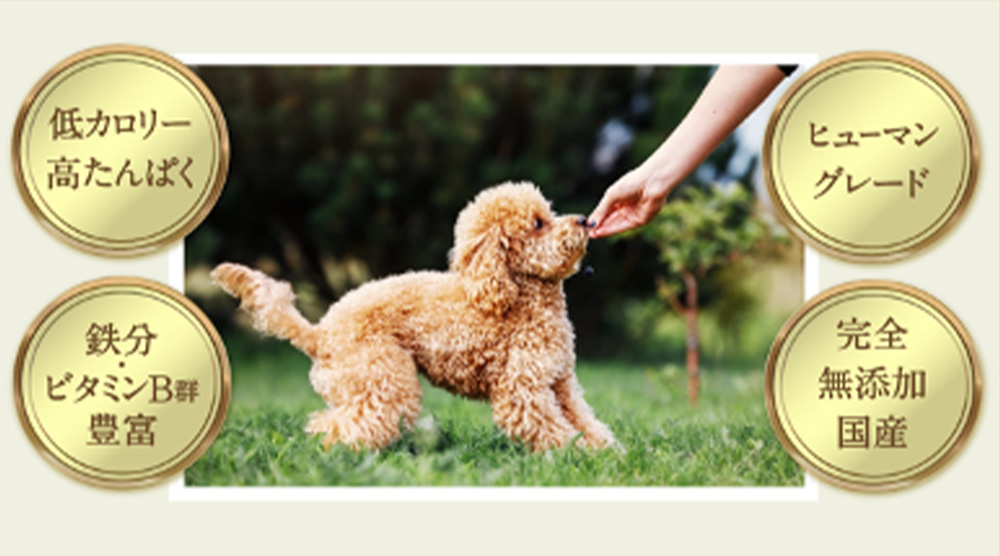 【ペットフード】無添加天然猪肉のジャーキー 60g×3パック