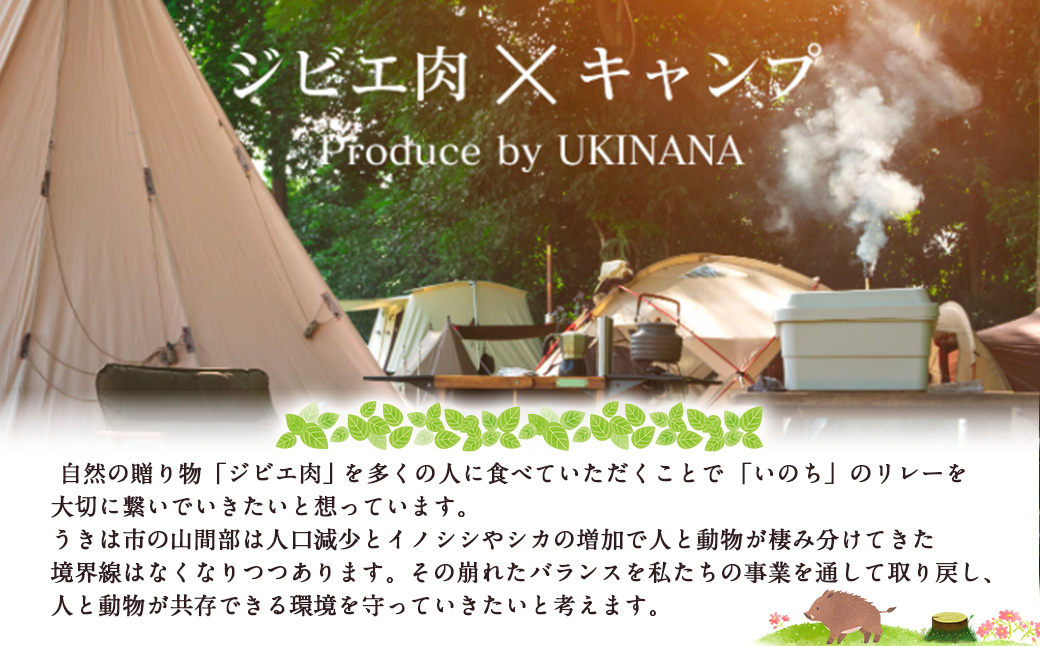 【ジビエ】 肉汁溢れる ジビエ肉 ハンバーグ 180g×4個 ジビエハンバーグ ジビエ ジビエ料理 ジューシー 猪肉 鹿肉 アナグマ肉 おかず 惣菜 お弁当 BBQ バーベキュー キャンプ キャンプ飯 加工食品 お取り寄せ 福岡県 うきは市