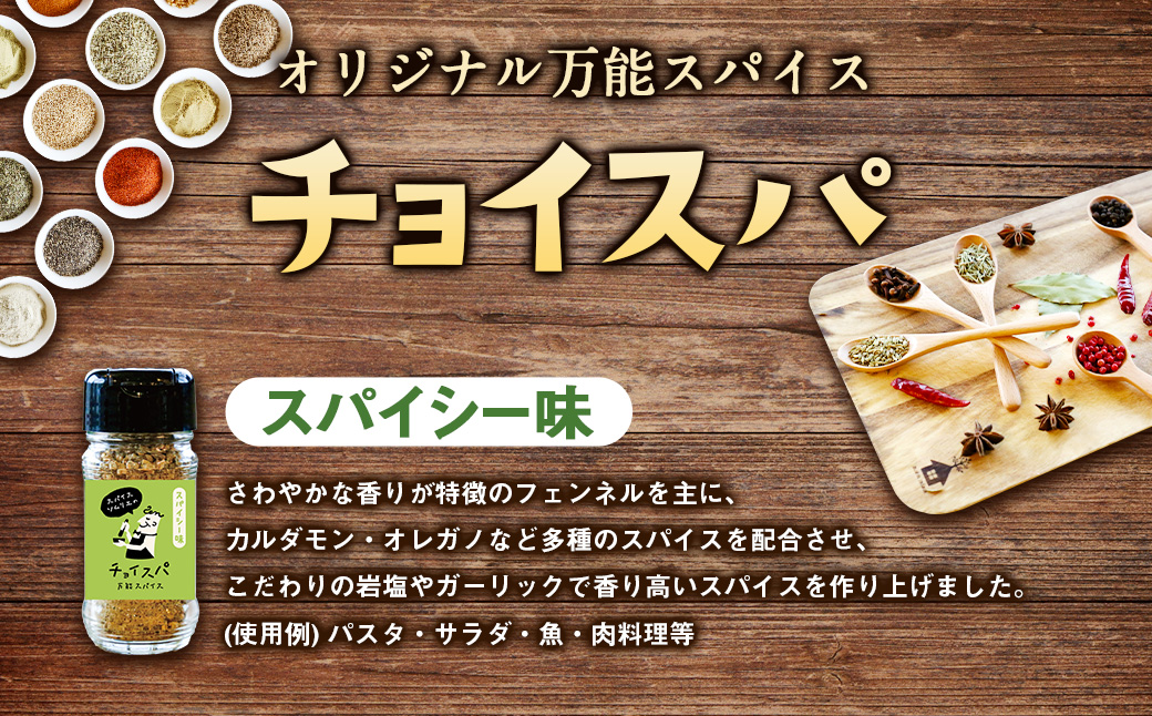 スープカレー専門店 禅 チョイスパ ３種の詰め合わせセット (スパイシー味・カレー味・ホットチリ味) 各40g×3本