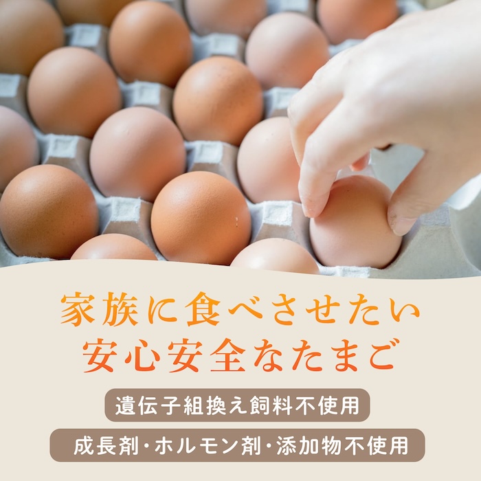【6ヶ月定期便】平飼い 山もりたまご 20個 安心安全 おいしさに感動 たまご 卵 高級卵 平飼い 安心安全 飼料にこだわり 成長剤 ホルモン剤 添加物不使用 6回定期便
