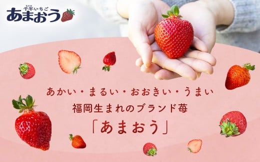 千年いちご あまおうイチゴ (300g×2パック) 1月お届け あまおう いちご イチゴ 苺 フルーツ 果物 冷蔵 送料無料 福岡県 うきは市 【2026年1月より順次発送予定】