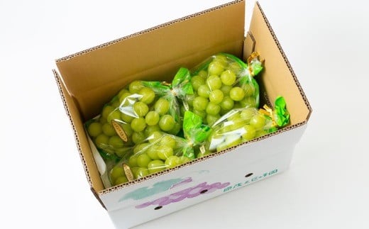 【先行予約】 原茂之巨峰園 シャインマスカット 4房から5房 （約2kg） 【2026年8月下旬～9月下旬より順次発送予定】 葡萄 ぶどう ブドウ 種無し 種なし 大粒 果物 くだもの フルーツ 果実 ミネラル ジューシー 朝採り発送 流川ブランド お取り寄せ 福岡県 うきは市 冷蔵
