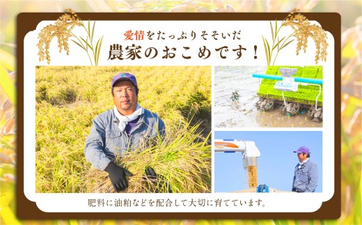 日永園 ヒノヒカリ 玄米10kg 【2025年11月下旬より発送予定】 米 お米 ご飯  うきは市