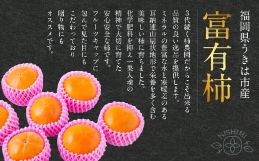【先行予約】西見柿農園 富有柿 12玉から15玉 2025年11月下旬から12月上旬 出荷予定
