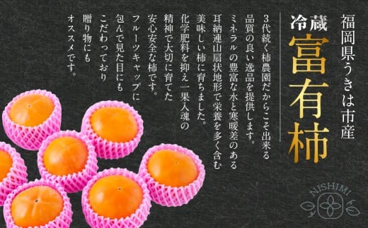 【先行予約】西見柿農園 冷蔵富有柿 12玉から15玉 2025年12月中旬から2026年1月下旬 出荷予定