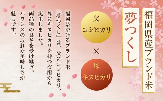 《令和7年産》 福岡県産 夢つくし 精米 （5kg） こめ コメ ごはん ご飯 コシヒカリ キヌヒカリ 白米 令和7年度米 単一原料米 ブランド米 福岡県 うきは市 常温