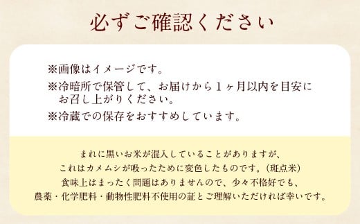自然栽培 ひのひかり 玄米 10kg 【2025年10月下旬より発送予定】 米 お米 ご飯  うきは市