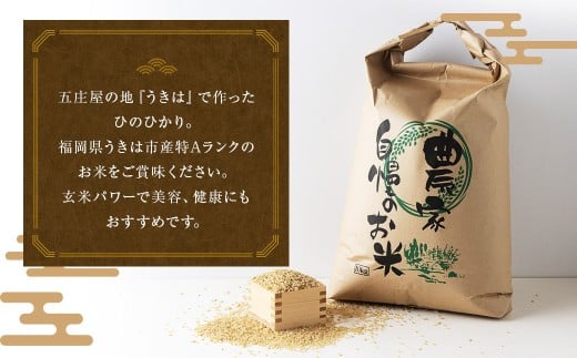 【特Aランク米】五庄屋の地で作ったお米 ひのひかり 玄米 (5kg) 【2025年10月下旬より順次発送予定】 ヒノヒカリ こめ コメ ごはん ご飯 福岡県うきは市産 九州産 玄米 ひのひかり 5kg