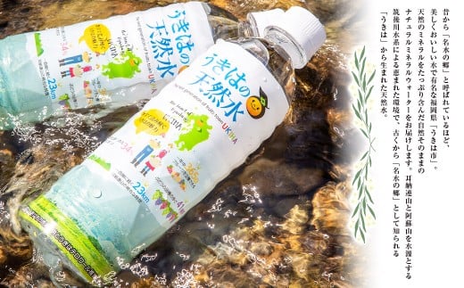 うきは名水 うきはの天然水 (500ml×24本入り) 1箱 ナチュラルミネラルウォーター