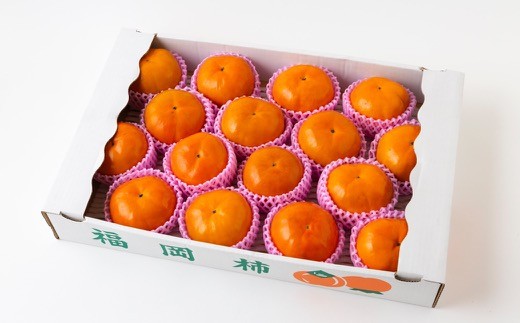 【先行予約】 渡辺農園 早秋柿 12玉から15玉 【2025年9月下旬から10月上旬 出荷予定】 柿 かき カキ 早秋 そうしゅう 果物 くだもの フルーツ 果実 ジューシー お取り寄せ 福岡県 うきは市