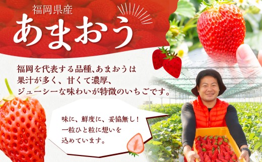 【2026年2月発送】 よかもんいちご あまおう苺セット 6パック （計約1.62kg） よかもん苺 苺 いちご イチゴ 果物 果実 フルーツ 九州 福岡県 うきは市 冷蔵