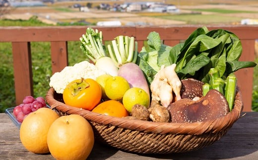 道の駅 うきは これでもか！！ ギフト （新鮮な農産物・特産品 約4.5kg） 野菜 ベジタブル 果物 くだもの フルーツ 農産物 特産品 特産 新鮮 フレッシュ 朝採れ 詰め合わせ 詰合せ セット ミックス お取り寄せ 福岡県 うきは市