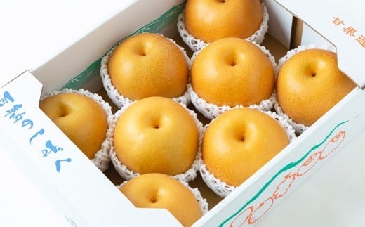 【先行予約】 鈴木農園 特撰甘果逸品 豊水梨 7玉から9玉 （約3kg） 【2026年8月下旬から9月上旬より順次発送予定】 完熟梨 梨 なし ナシ 豊水 ほうすい 果物 くだもの フルーツ 果実 新鮮 フレッシュ ジューシー お取り寄せ 福岡県 うきは市 冷蔵