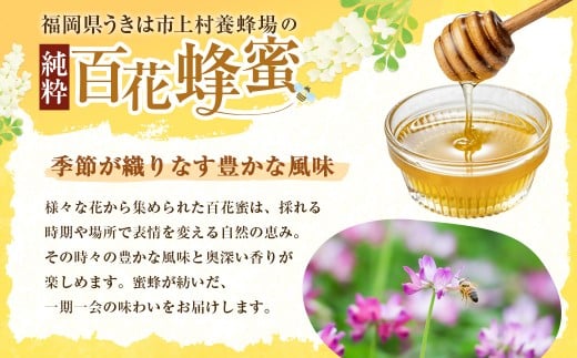 上村養蜂場 国産100％純粋百花蜂蜜 大瓶 600g