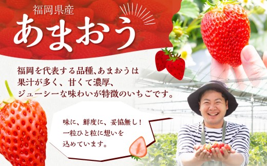 よかもんいちごの朝採りあまおういちご 約700g 【2026年1月下旬から2026年4月下旬 出荷予定】 よかもん苺 苺 いちご イチゴ 果物 果実 フルーツ 九州 福岡県 うきは市 冷蔵