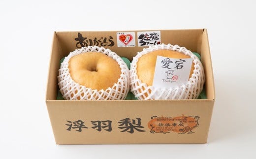 【先行予約】佐藤ファーム 愛宕梨 超大玉 2玉入 2025年11月上旬 出荷予定