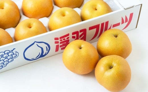 【先行予約】 鈴木農園 特撰甘果逸品 豊水梨 11玉から15玉 （約5kg） 【2026年8月下旬～9月上旬より順次発送予定】 完熟梨 梨 なし ナシ 豊水 ほうすい 果物 くだもの フルーツ 果実 新鮮 フレッシュ ジューシー お取り寄せ 福岡県 うきは市 冷蔵